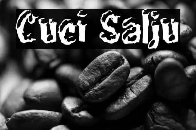 Cuci Salju Font examples