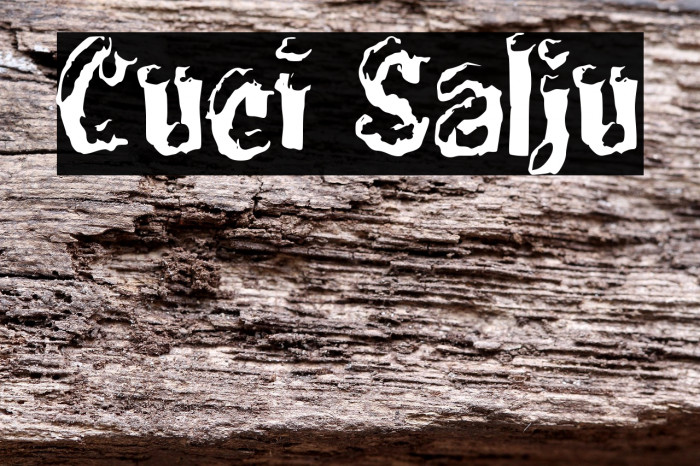 Cuci Salju Example 2