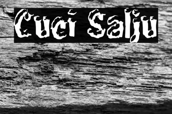 Cuci Salju Font examples