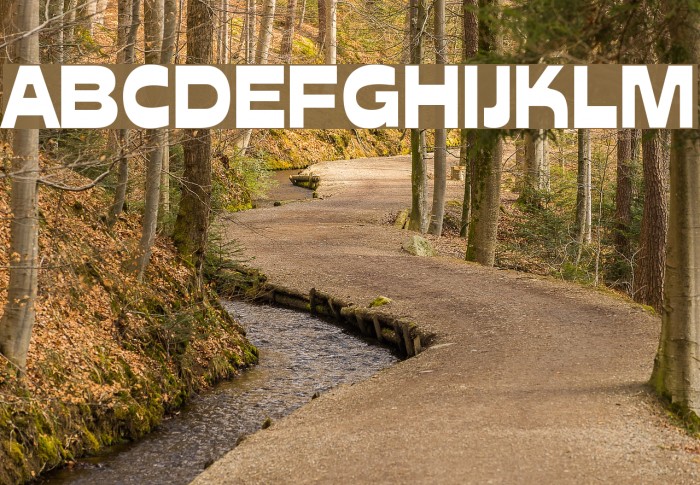 Cuckoo Regular Font examples