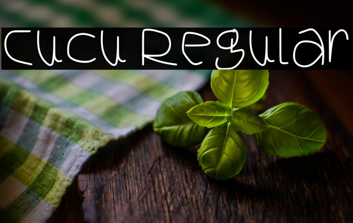 Cucu Regular Example 2