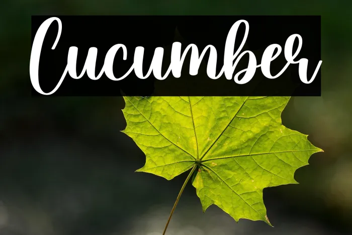 Cucumber Example 3