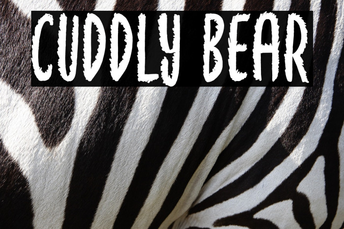 Cuddly Bear Example 1