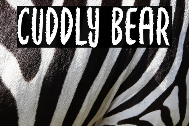 Cuddly Bear Example 1