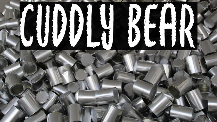 Cuddly Bear Example 2