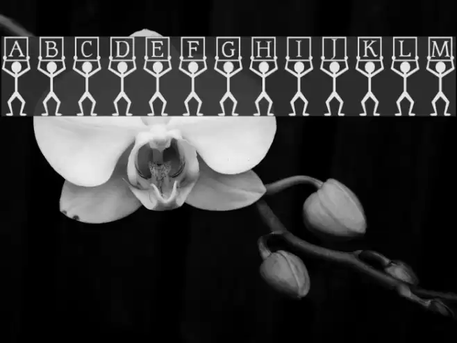 Cue Regular Font examples