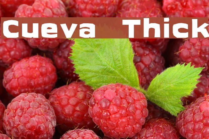 Cueva Thick Font examples