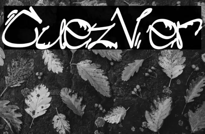 Cuez_Ver3 Font examples