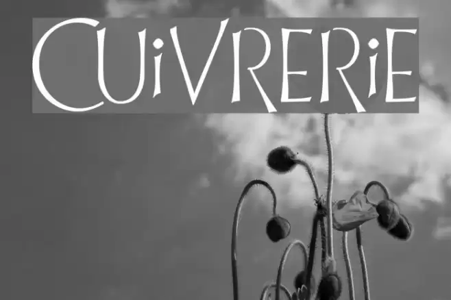 Cuivrerie Font examples