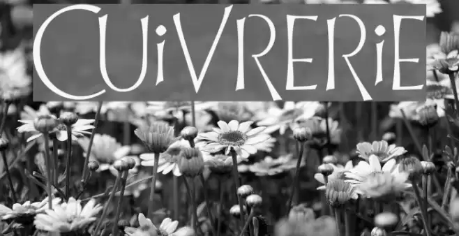 Cuivrerie Font examples