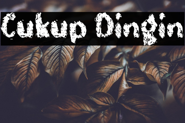 Cukup Dingin Example 2