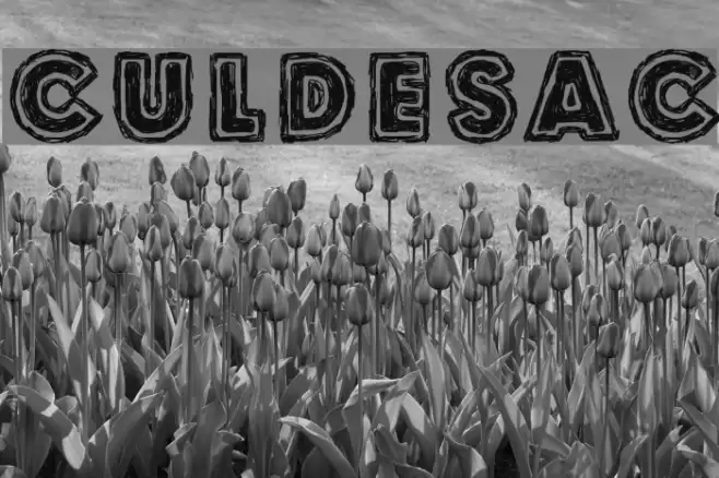 Culdesac Font examples