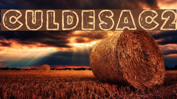 Culdesac2 Font examples
