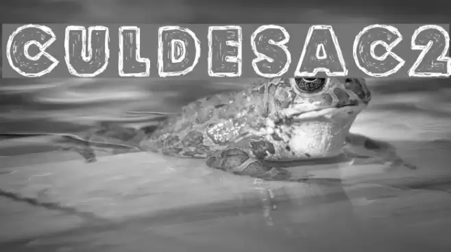 Culdesac2 Font examples