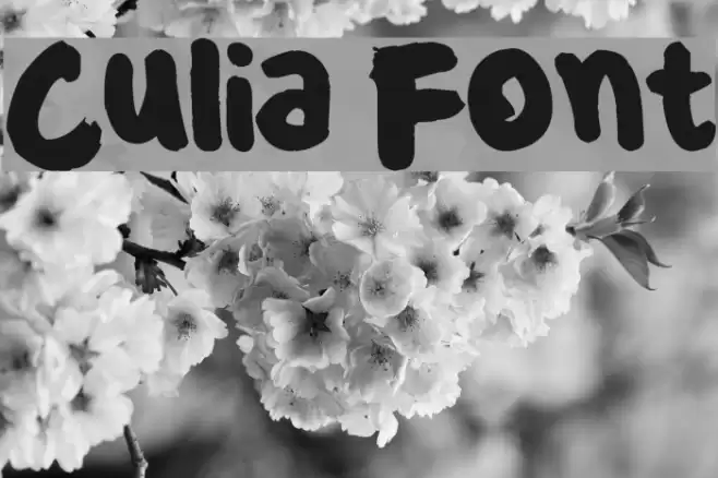 Culia Font examples