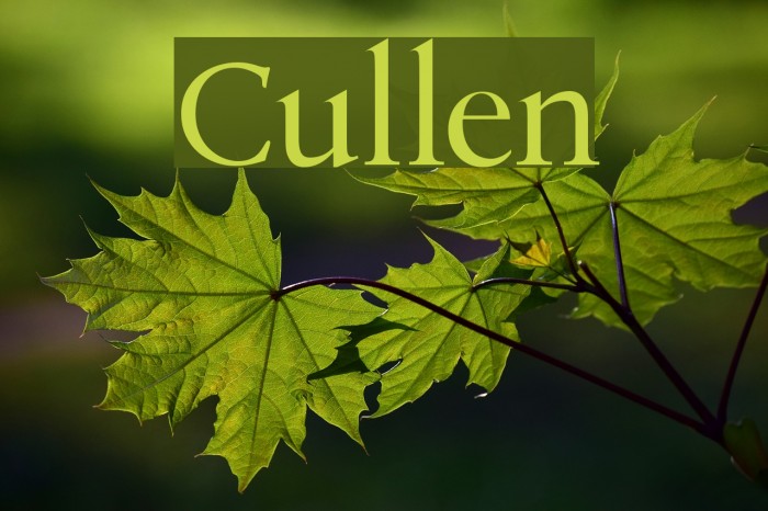 Cullen フォント examples