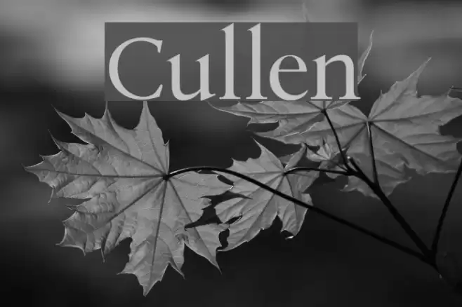Cullen フォント examples