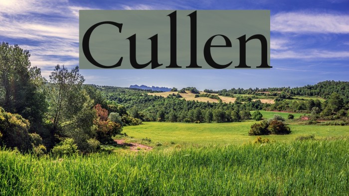 Cullen フォント examples