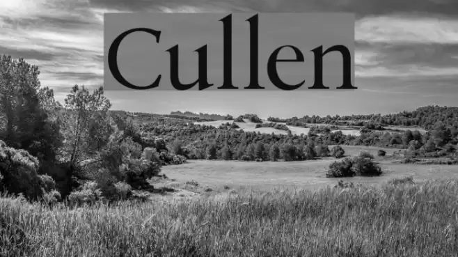 Cullen フォント examples