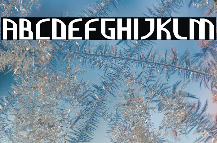 Cully Bold Example 2