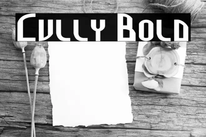 Cully Bold Font examples
