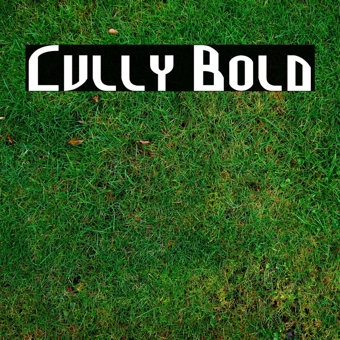 Cully Bold Example 2