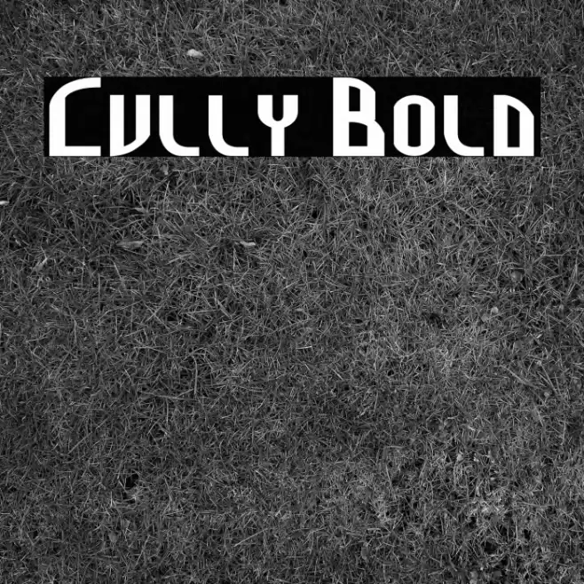 Cully Bold Font examples