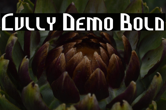 Cully Demo Bold Example 1