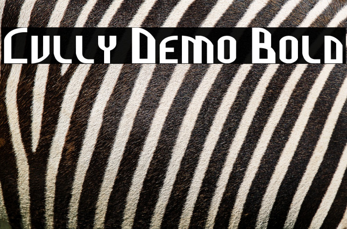 Cully Demo Bold Example 2