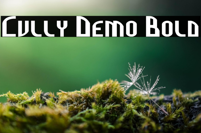 Cully Demo Bold Example 3
