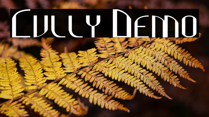 Cully Demo Example 1