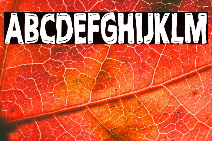 Cult Tv Show Example 1