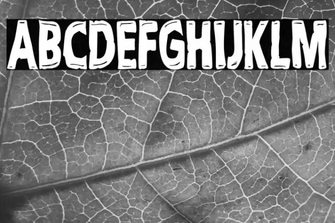 Cult Tv Show Font examples