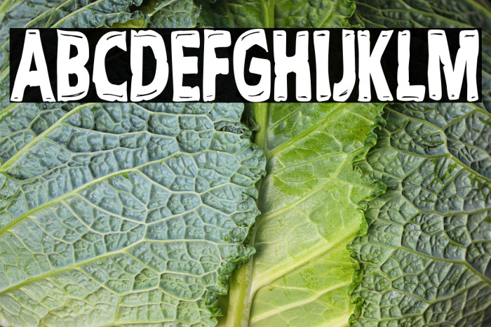 Cult Tv Show Example 2