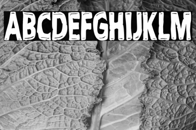 Cult Tv Show Font examples