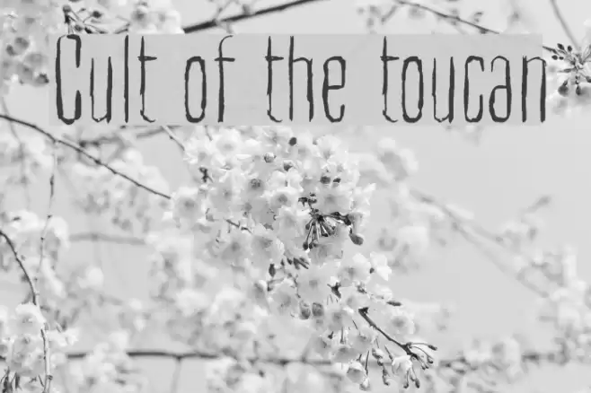 Cult of the toucan Font examples