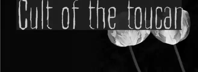 Cult of the toucan Font examples