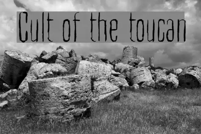 Cult of the toucan Font examples