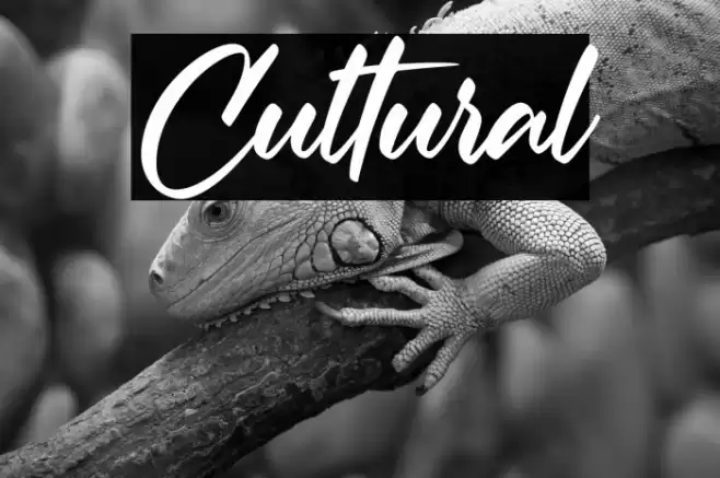 Cultural خط examples