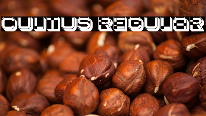 Cultus Regular Example 2