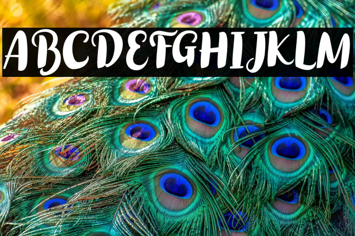 Cumiskat-Regular Example 1