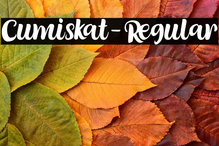 Cumiskat-Regular Example 1