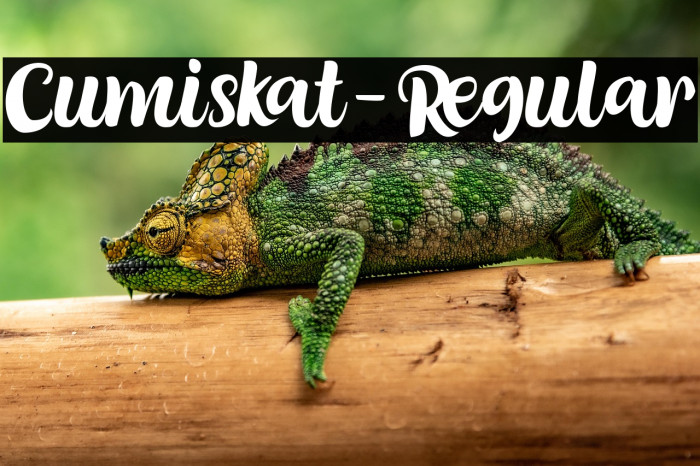 Cumiskat-Regular Example 2