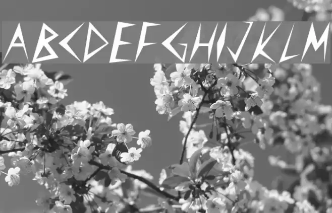 CuneiFont Regular Polices examples