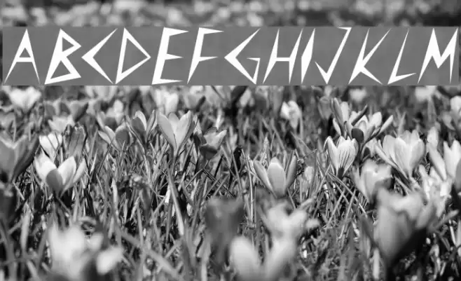 CuneiFont Regular Polices examples