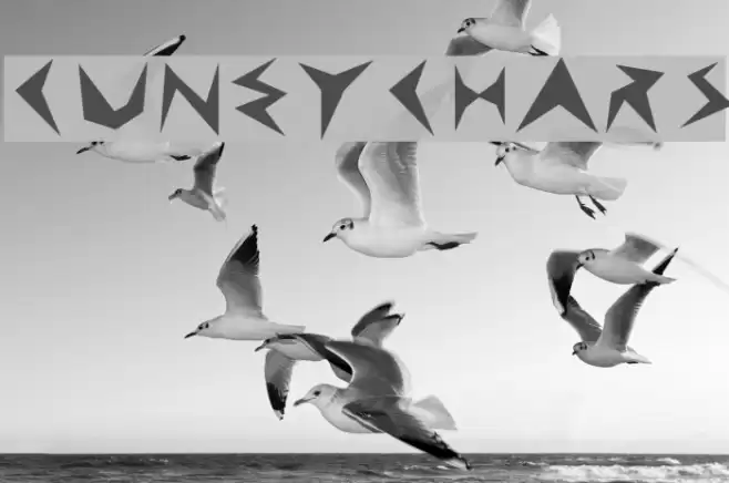 CuneyChars Font examples