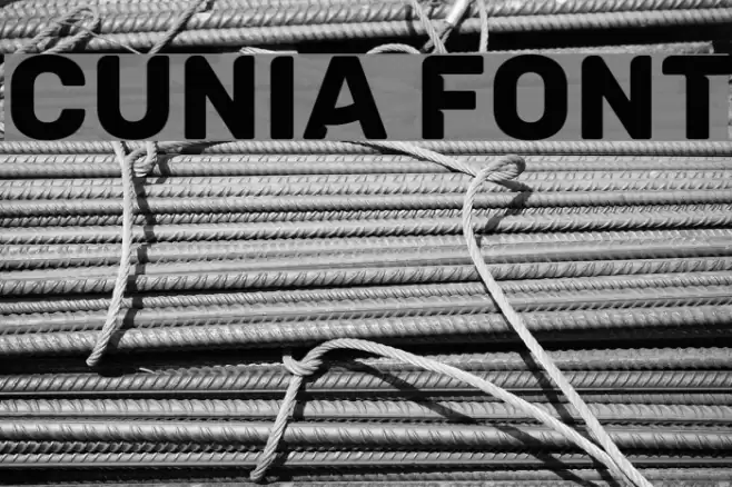 Cunia Font examples