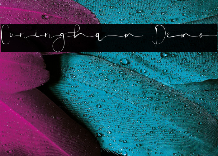 Cuningham Demo Example 1