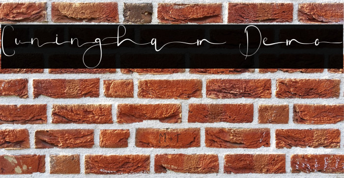 Cuningham Demo Example 3