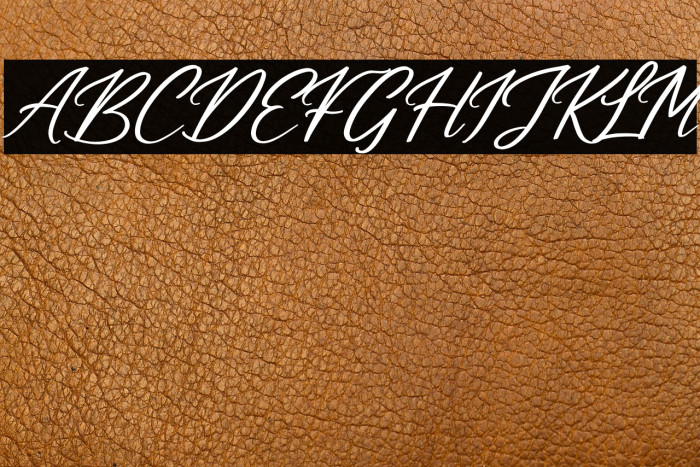 Cuningham Singleton Italic Example 1